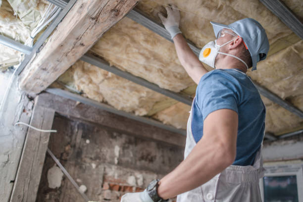 Best Geographic-Specific Insulation Services in Stirling, NJ