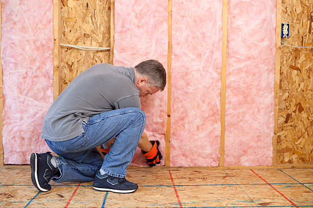 Best Eco-Friendly Insulation in Stirling, NJ
