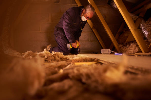 Best Cellulose Insulation in Stirling, NJ